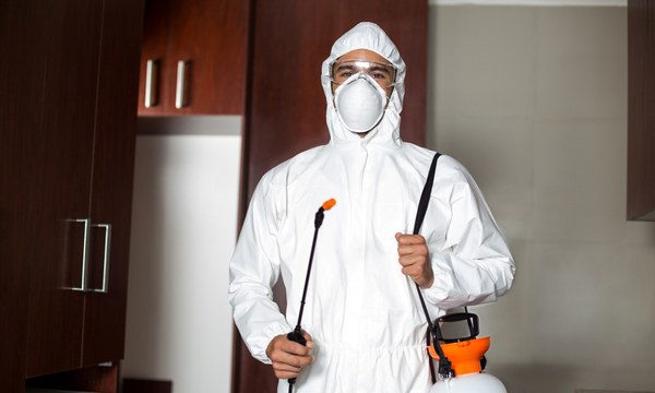 Böcek ilaçlama uygulaması