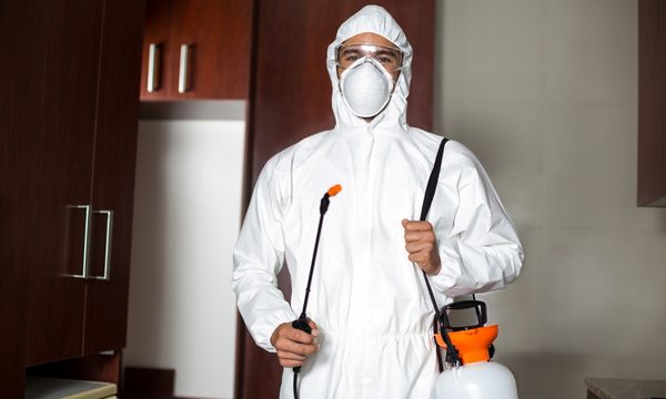 Kalorifer böceği ilaçlama uygulaması